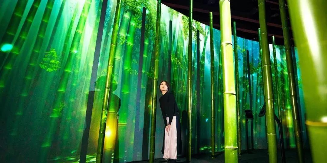 沉浸式的櫻花展覽策劃驚艷了廣大游客的目光，光影互動(dòng)太厲害了！