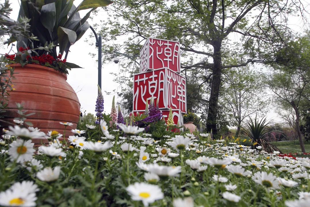亂花漸欲迷人眼，全新西溪花朝節(jié)展覽活動(dòng)與你來(lái)一場(chǎng)春天的約會(huì)