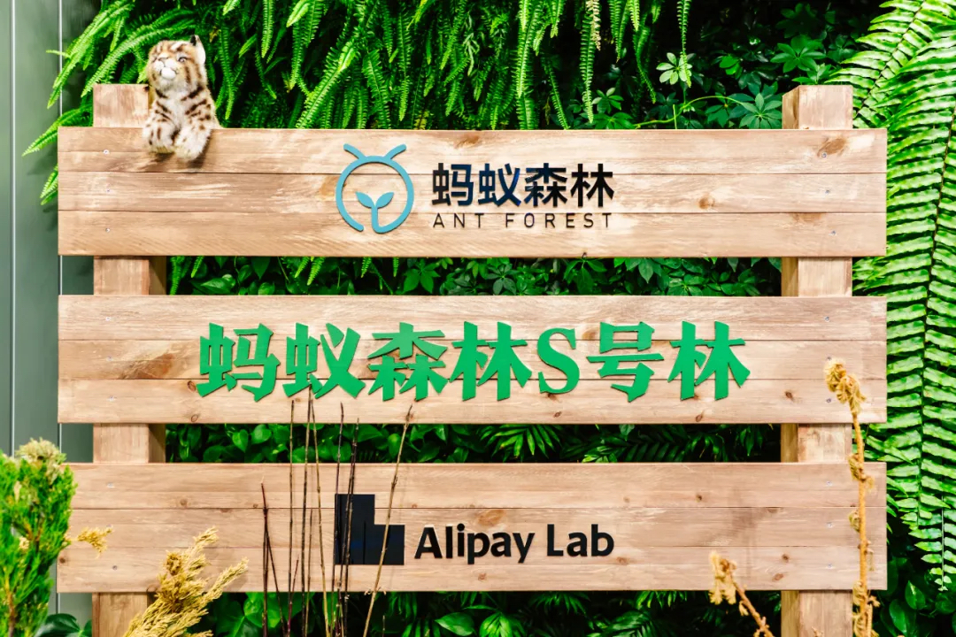 螞蟻森林體驗(yàn)展覽活動策劃全方位的沉浸式體驗(yàn)與大自然親密接觸
